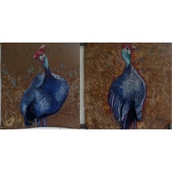 Swe-Swe Guinea Fowl